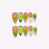 Zesty Kiwi